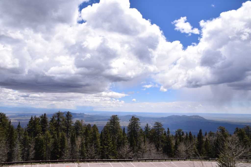 DSC_0639Mittel_.JPG